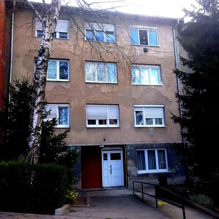 Allegra Sarajevo